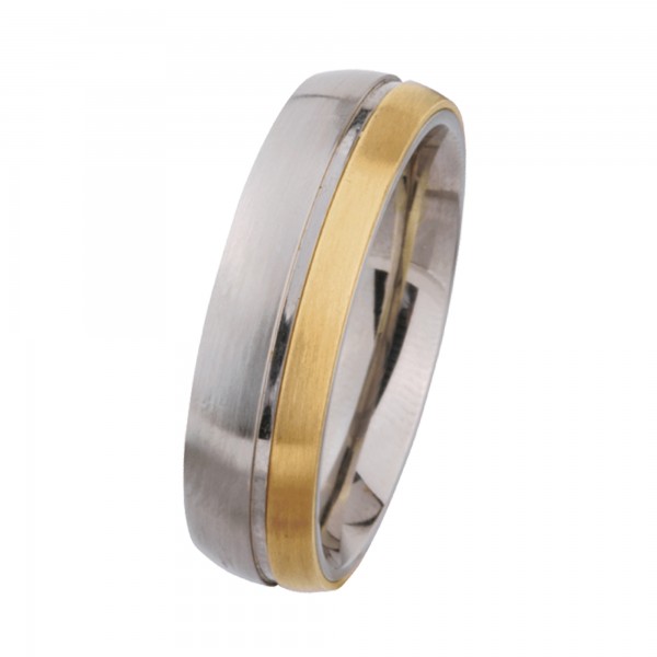 Ernstes Design Ring, Edelstahl matt / poliert / 750er Gelbgold, 6 mm, R209
