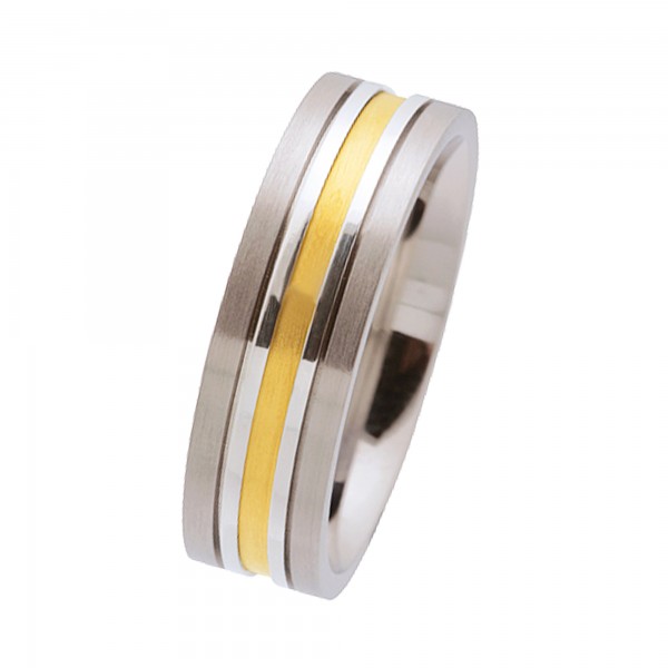 Ernstes Design Ring, Edelstahl matt / poliert / 750er Gelbgold, 6 mm, R176
