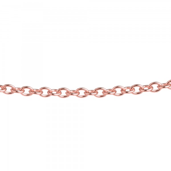 Ernstes Design Ankerkette, Halskette, Kette Edelstahl rosé beschichtet, poliert 2,5 mm AK14