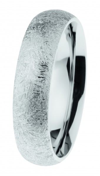 Ernstes Design Ring, Edelstahl eismatt / poliert, R621