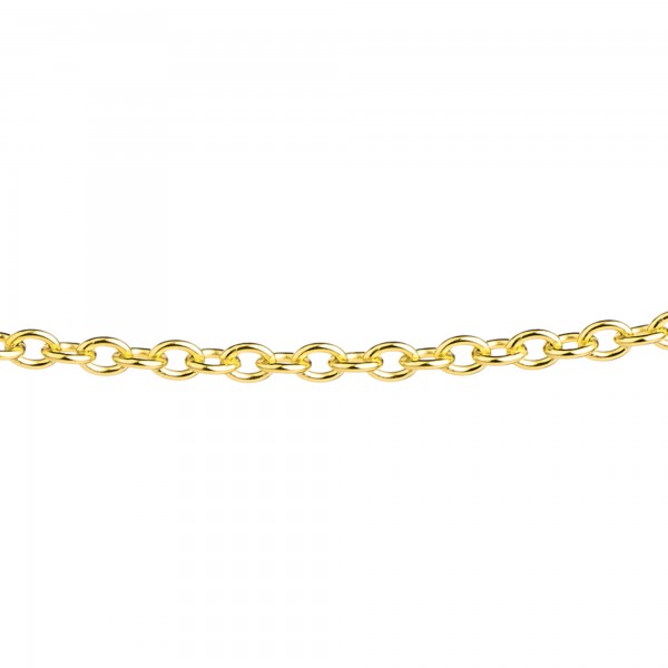 Ernstes Design Ankerkette, Halskette, Kette Edelstahl goldfarben beschichtet, poliert 2,5 mm AK13